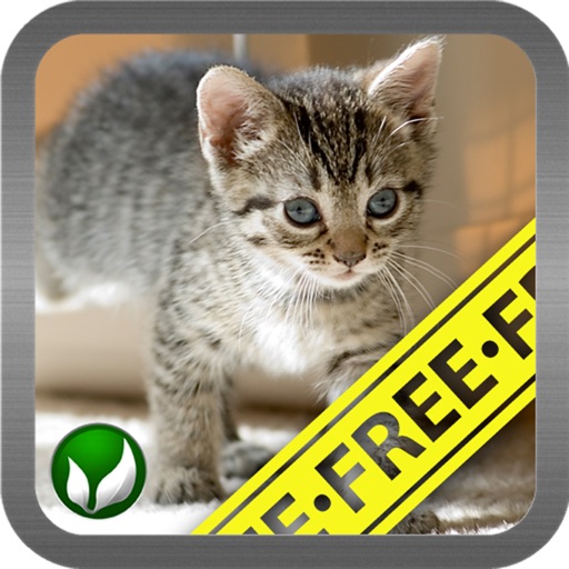 Cat ■ mini-games (FREE) iOS App