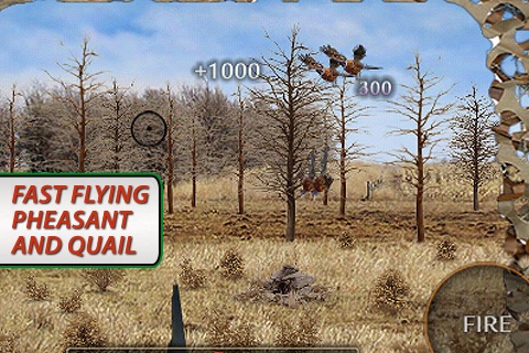 Real Bird Hunting Challenge screenshot-4