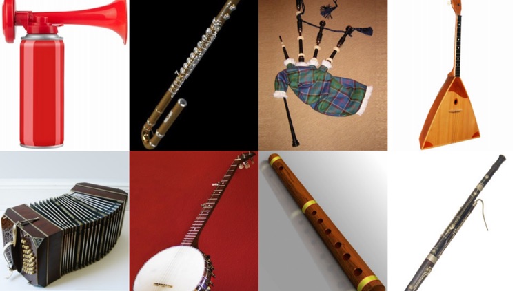 Discover Musical Instruments