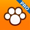Perfect Dog HD Pro - Ultimate Breed Guide To Dogs