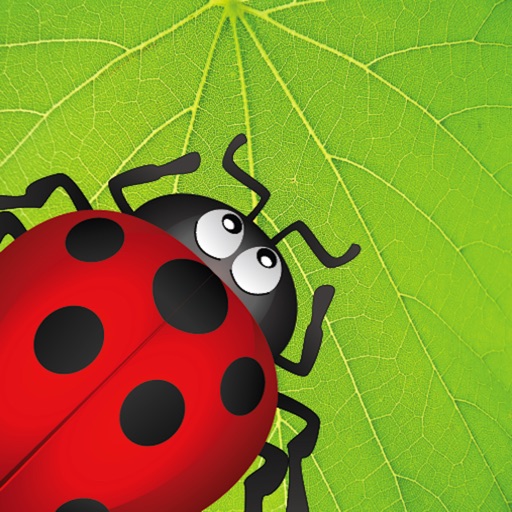 Ladybug Munch Icon