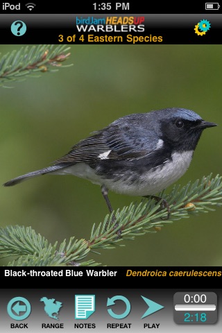birdJam HeadsUp Warblers screenshot-3
