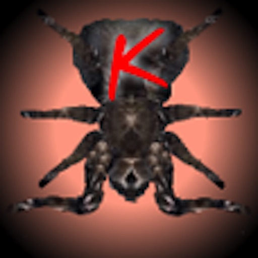 KillBugs Attack