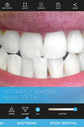 Virtual Dentist - Premium Edition screenshot 3
