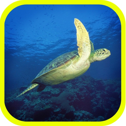 Sea Animals of Planet Earth iOS App