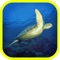 Sea Animals of Planet Earth