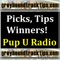 Pup U Radio