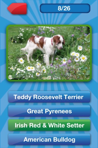 Name That Dog Pro: The Unleashed Photo Game About Dogs screenshot 4