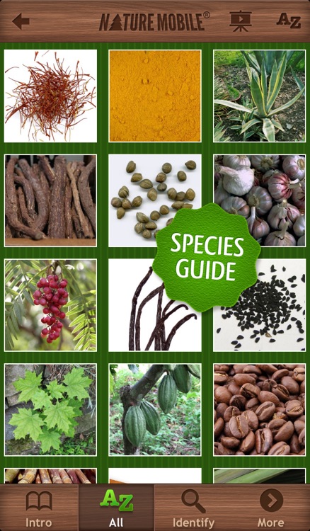 Exotic Spices and Stimulants - NATURE MOBILE