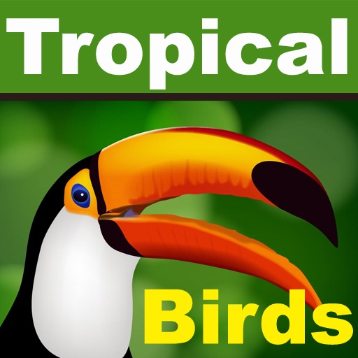 Tropical Birds icon