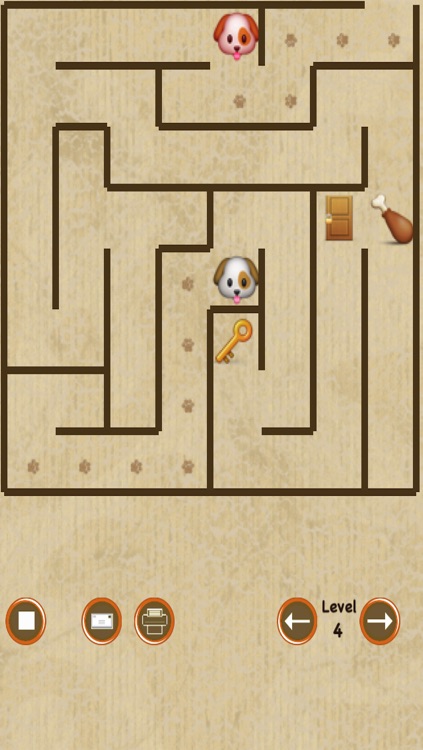 Dog Maze Race