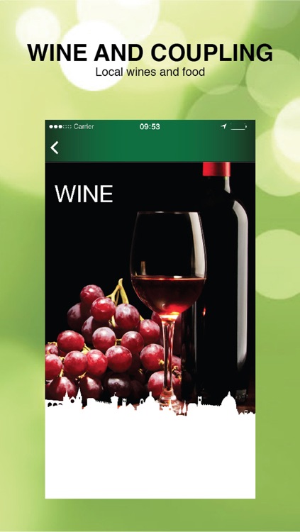 Wine Road of Franciacorta screenshot-4