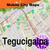 Tegucigalpa Street Map