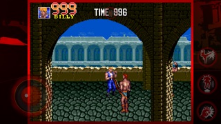 Double Dragon Trilogy screenshot1
