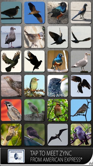 Bird Sounds FREE(圖1)-速報App