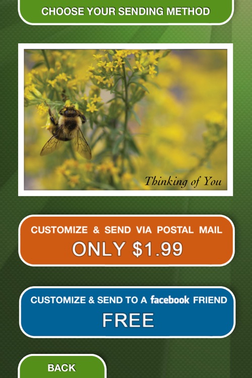 CWF Postcards