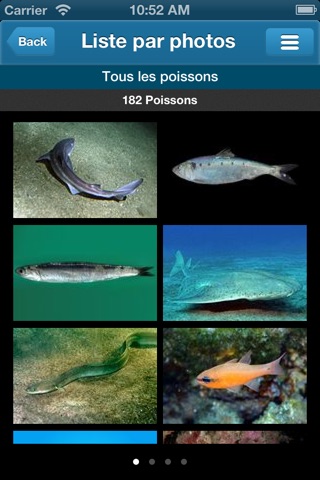 BiodiverSea - free version - Poissons de Mediterranée screenshot 2
