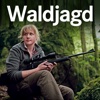 Wald Jagd