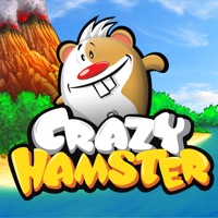 Crazy Hamster Free apk