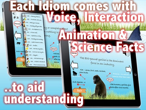 Animals Idioms and Metaphors screenshot 2