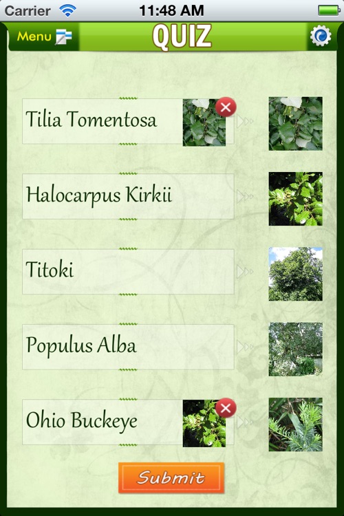 Trees Encyclopedia