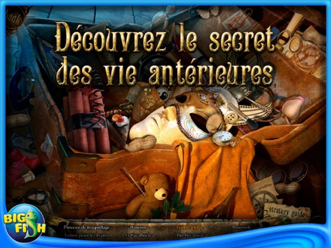 Reincarnations: Uncover the Past Collector's Edition HD (Full) screenshot 3