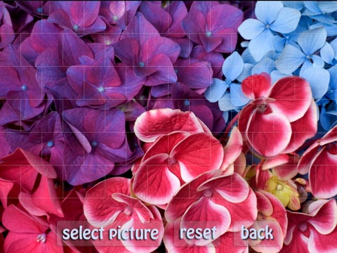 Puzzle Master Flowers HD Free screenshot 3