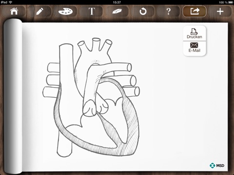 MSD Sketchbook screenshot 3