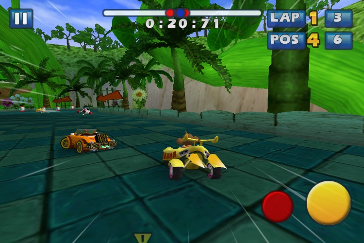Sonic & SEGA All-Stars Racing screenshot-3