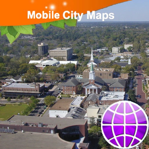 Tallahassee Street Map icon