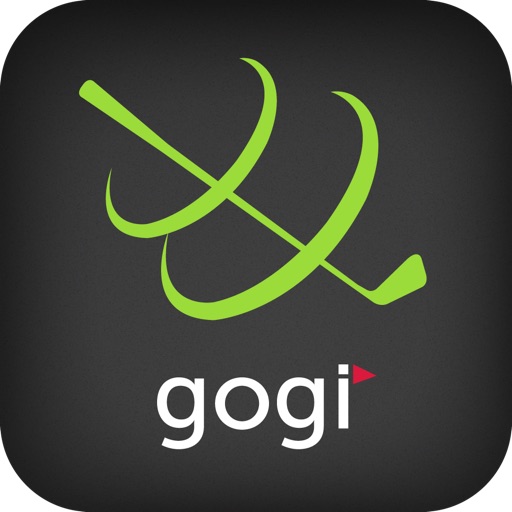 GOGI Swing Pro Icon