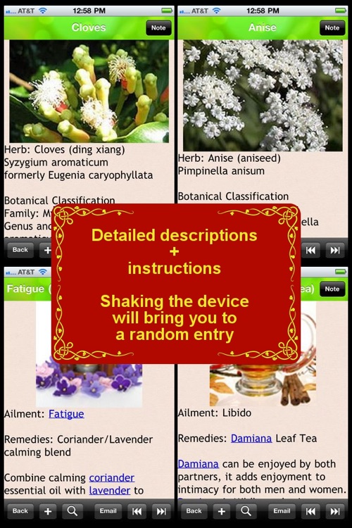 Herbal Remedy Bible