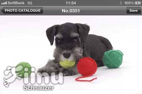 Look!Schnauzer screenshot 4