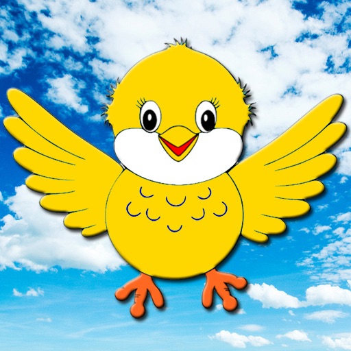 Matching Birds iOS App