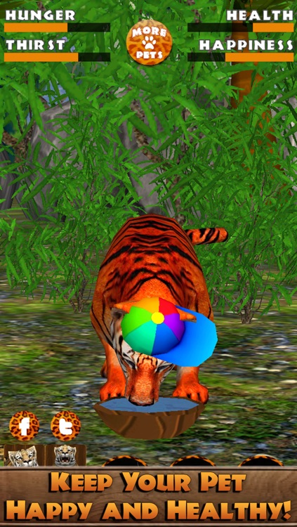 Virtual Pet Tiger screenshot-3