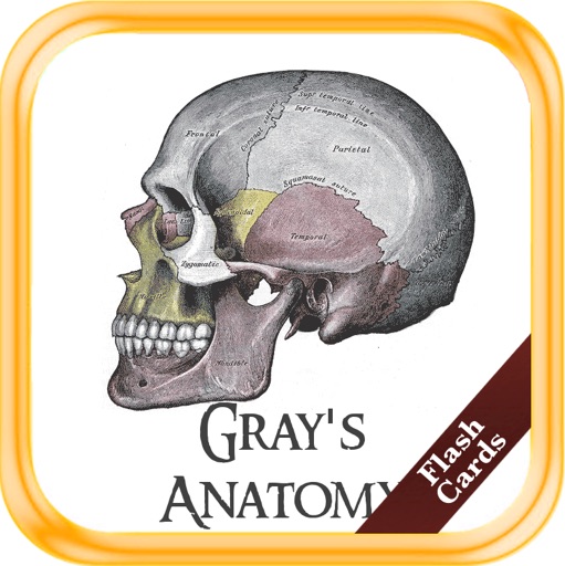 Gray's Anatomy (Flash Cards, 1274 Illustrations)