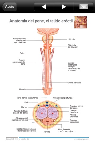 Miniatlas Erectile Dysfunction screenshot 2