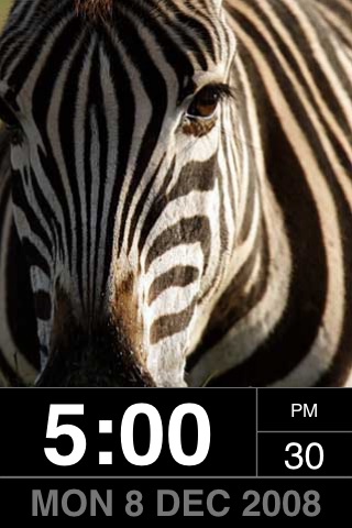 PhotoFrame: Wild! screenshot-3
