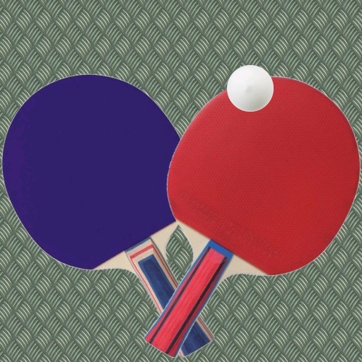 Table Tennis Pro 2D And 3D icon