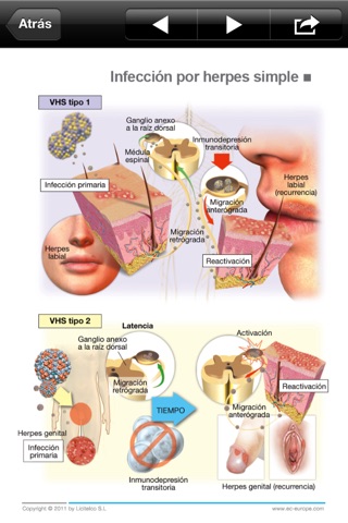 Miniatlas Dermatology screenshot 4