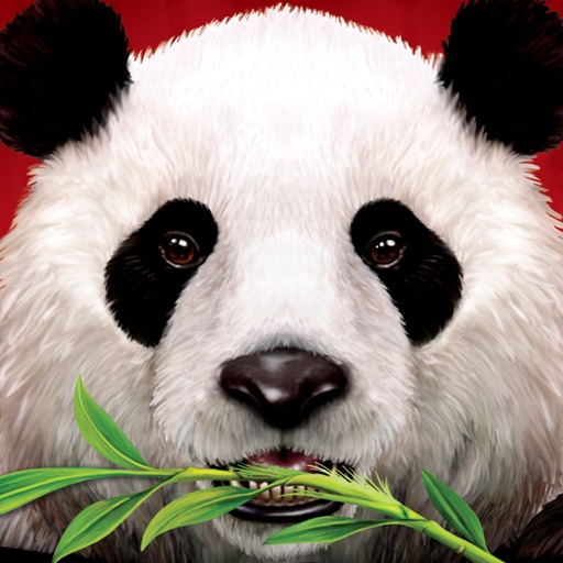 Wild Panda casino slot game icon