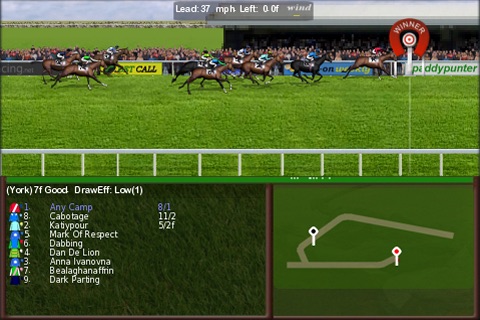 Horse Racing World (flat edition) screenshot 4