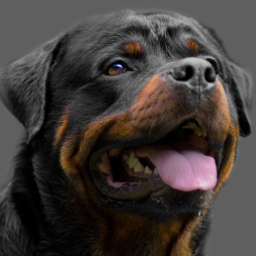 Rotties - Rottweilier Fun icon