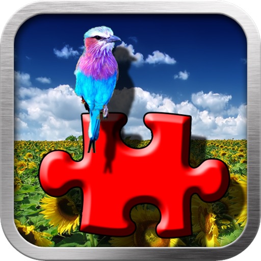 Flickr Photo Viewer And Puzzle Maker Icon