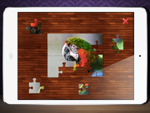 Flickr Photo Viewer And Puzzle Maker screenshot 3