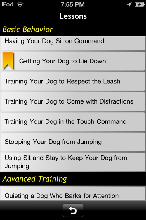Dog Training Basics For Dummies