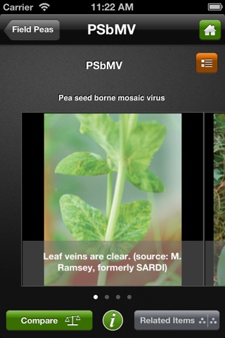 Field peas: The Ute Guide screenshot 4