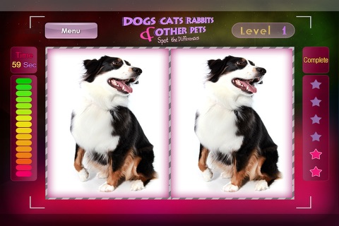 Dogs Cats Rabbits & other Pets - Spot the differences screenshot 2