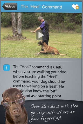 Dog Training Academy screenshot 4