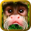 Funky Monkey Faces-Fun Animal Face Booth